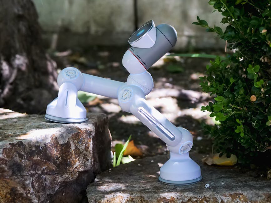 A small, modern robot climbing stone steps outdoors, showcasing advanced robotics technology.